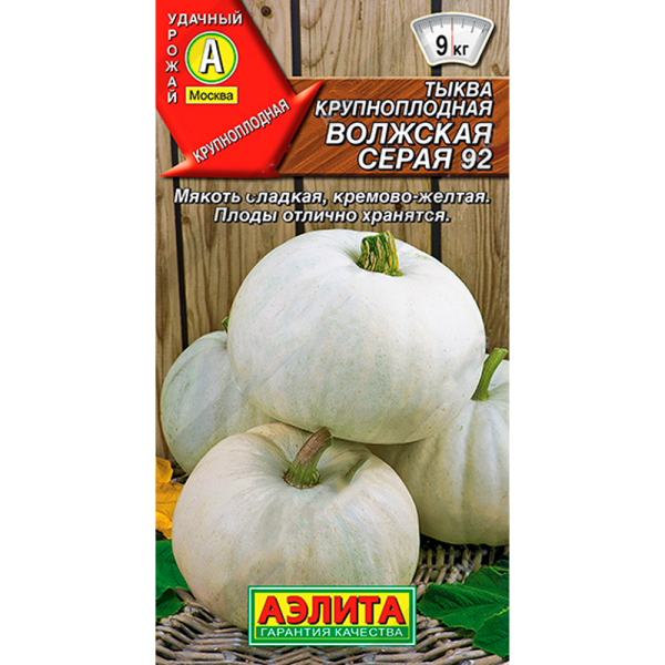 Тыква Волжская серая 92