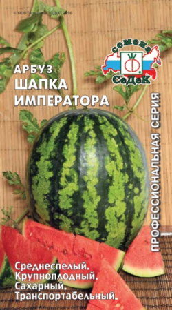 v8_24C0_34c1d