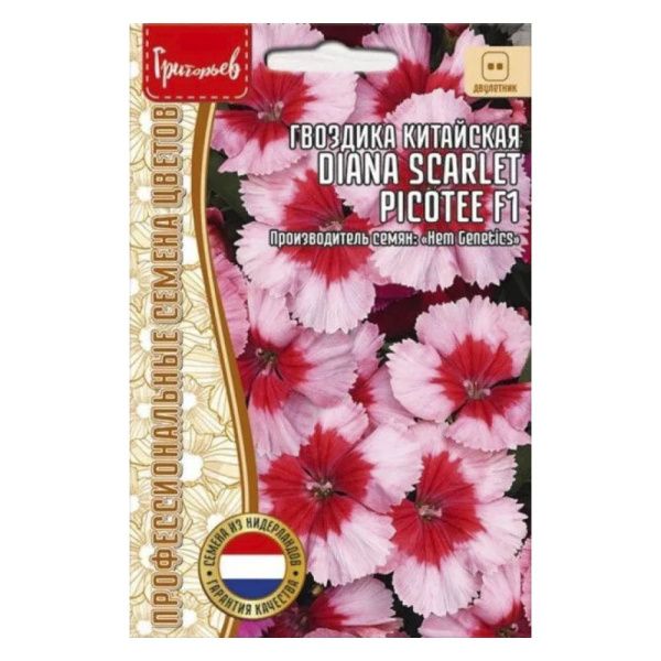02Гр2973 Гвоздика китайская Diana Scarlet Picotee 3шт.-НОВИНКА NDS