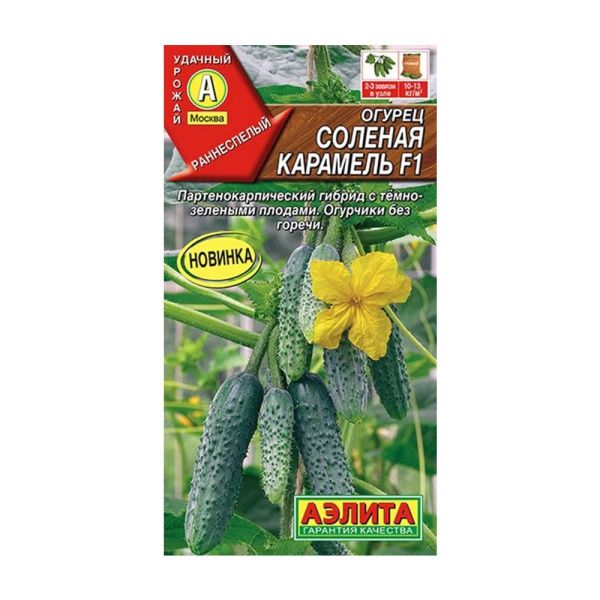 02Аэ1053 Огурец Соленая карамель F1