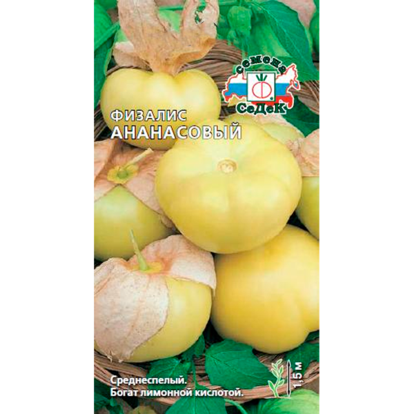 физалис Ананасовый (Евро, 0,1)