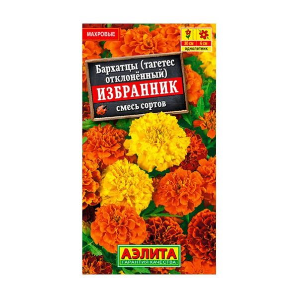 02Аэ1388 Бархатцы Избранник отклоненные, смесь сортов