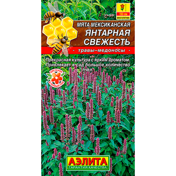 Мята мексиканская Янтарная свежесть