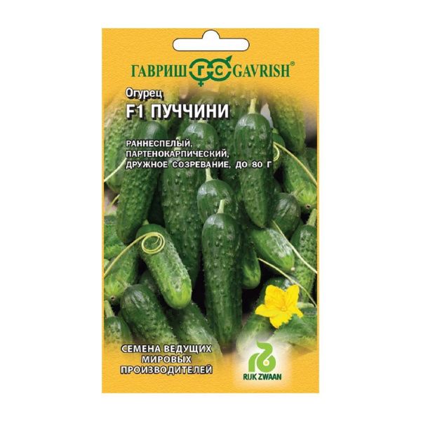 Га013580 Огурец F1 Пуччини  Гавриш