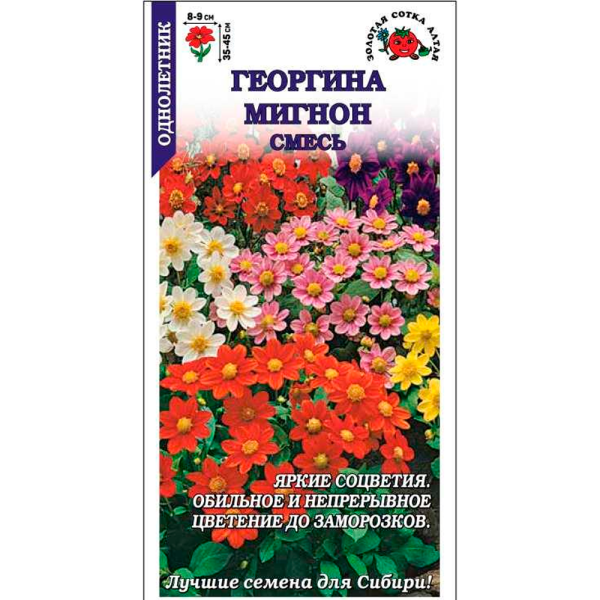 Георгина Мигнон смесь