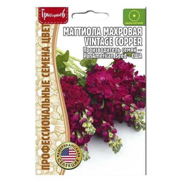 02Гр3010 Маттиола Vintage Copper махровая  5 шт. NDS