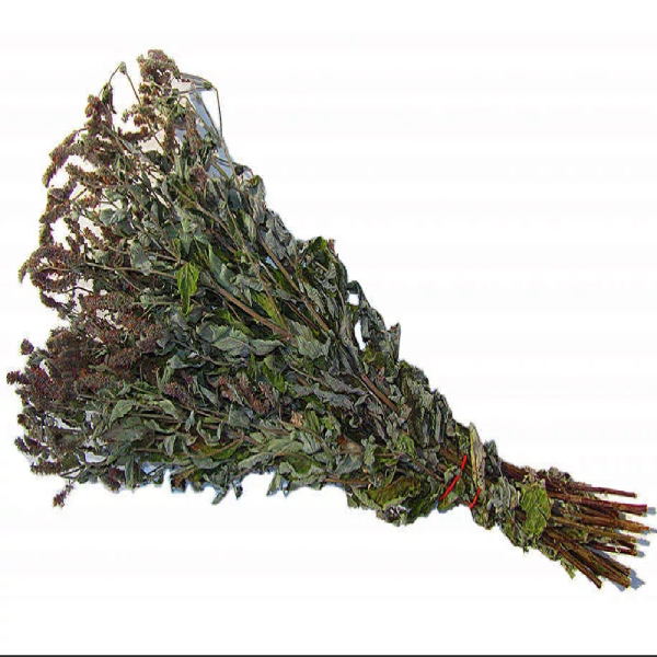 Веник мята перечная