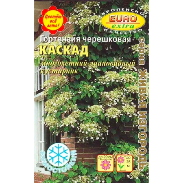 Гортензия Каскад черешковая