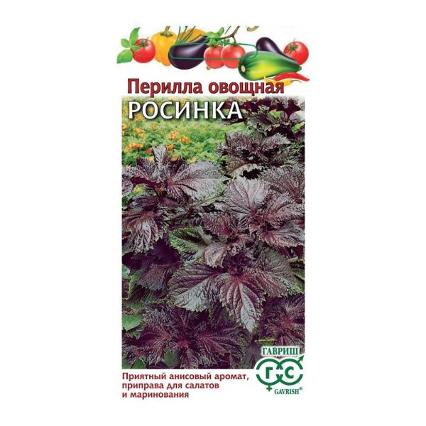 01 Гавриш Семена  (6.1)+
