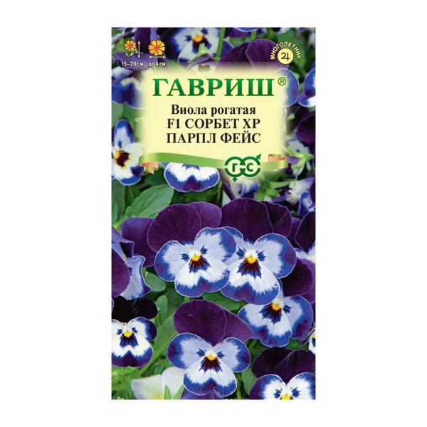 Га014653 Виола Сорбет XP Парпл Фейс F1 рогатая (Анютины глазки) 4 шт