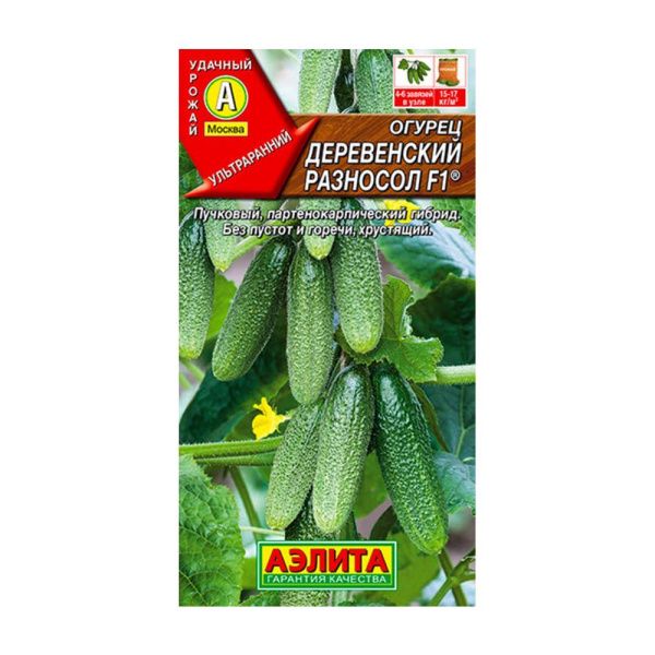 02Аэ1072 Огурец Деревенский разносол F1