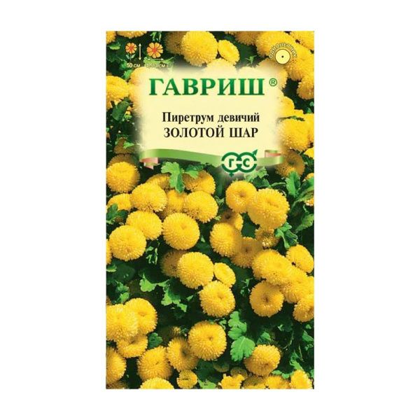 Га014195 Пиретрум Золотой шар 0,01 г