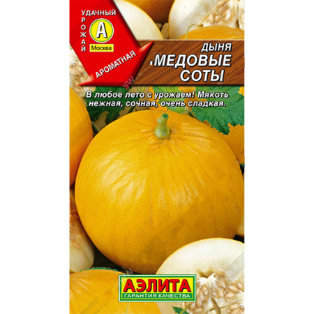 Дыня Медовые соты Дыня Медовые соты