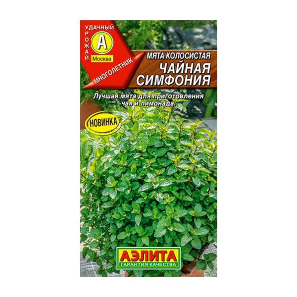 02Аэ1483 Мята колосистая Чайная симфония