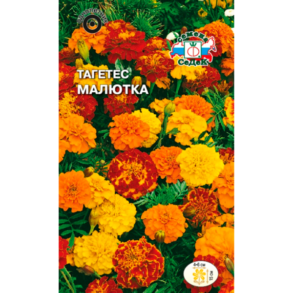 Тагетес Малютка (отклоненный, низкорослый, смесь цветов)