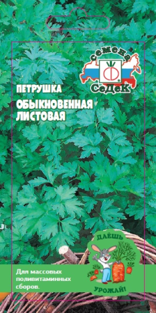 v8_24C0_35a4f