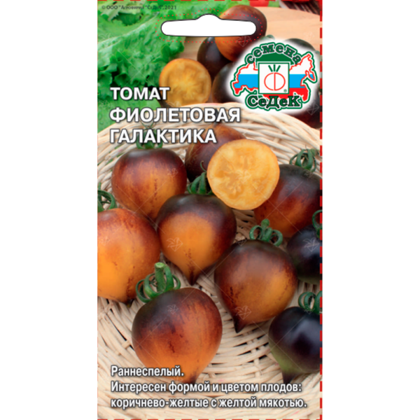 томат Фиолетовая Галактика