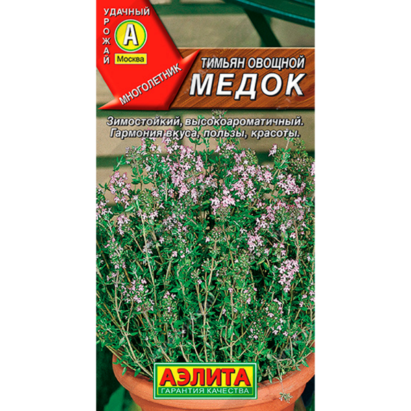 Тимьян овощной Медок