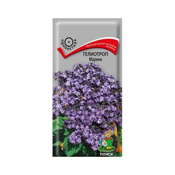 02По5065 Гелиотроп (древовидный) Марина (ЦВ) 0,03гр.