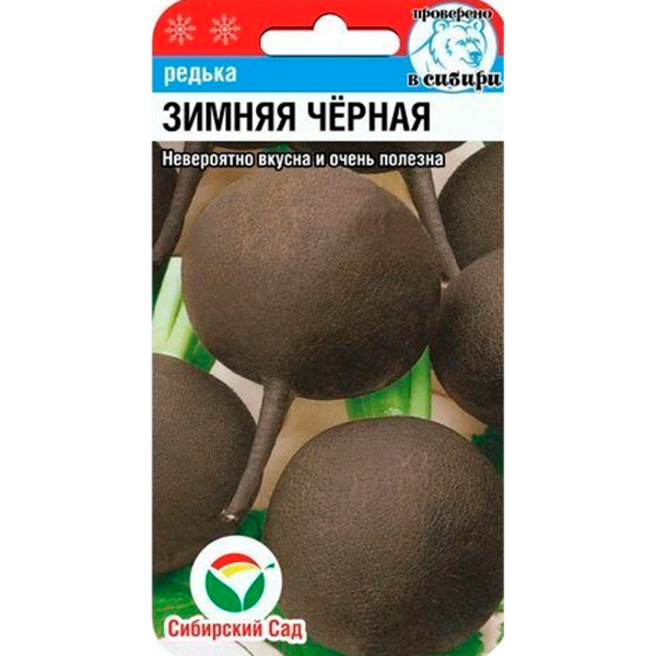 Редька Зимняя Черная