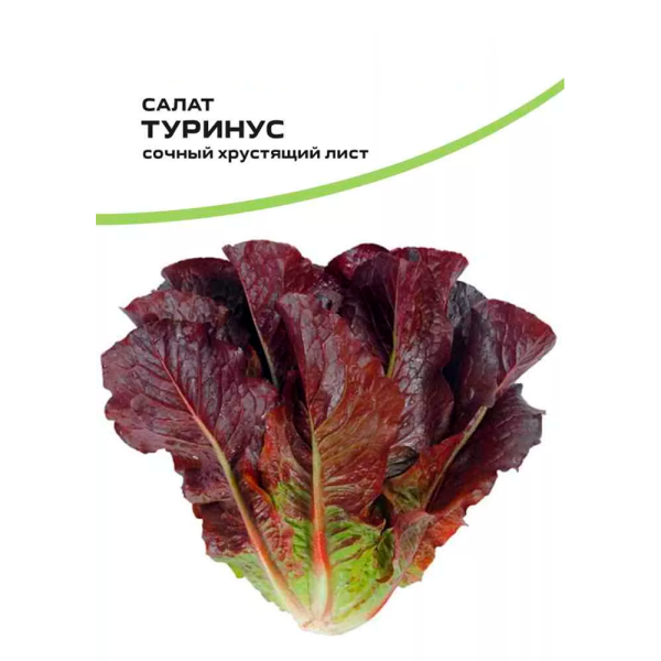 Салат Туринус
