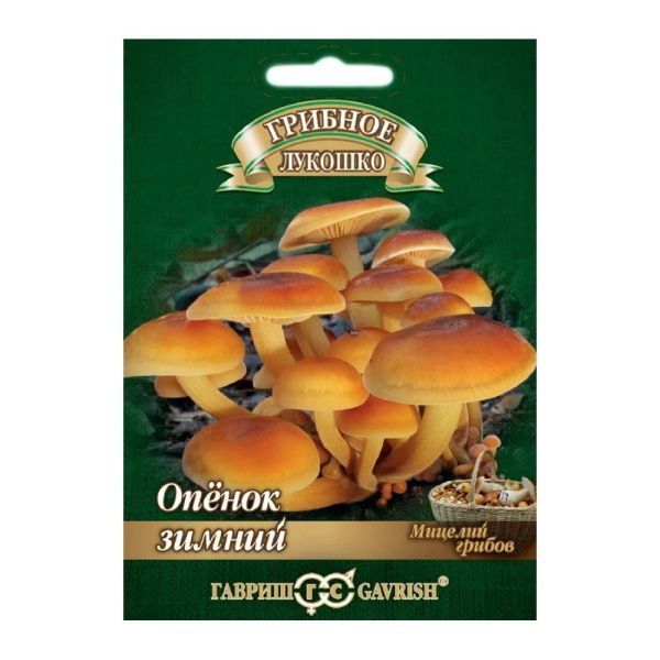 Га014155 Опенок зимний на древесной палочке, больш. пак. 12 шт