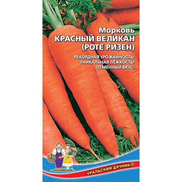 Морковь Красный великан (Роте Ризен)