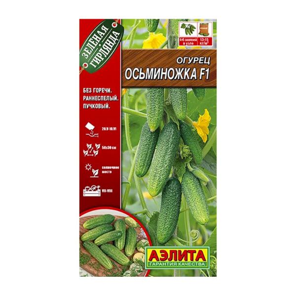 02Аэ1076 Огурец Осьминожка F1