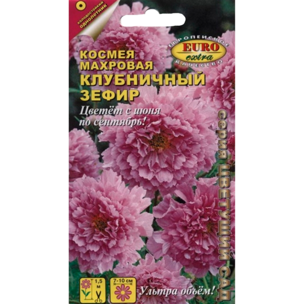 Космея Клубничный зефир махровая