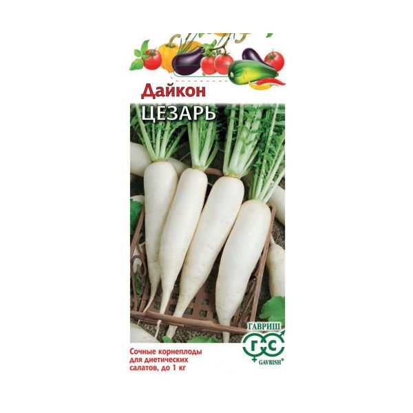 Га010412 Дайкон Цезарь 1 г
