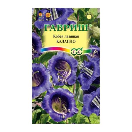 Га010039 Кобея лазящая Каландо 5 шт