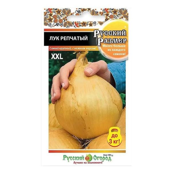 02Ру3694 Лук репчатый Русский размер (100шт)