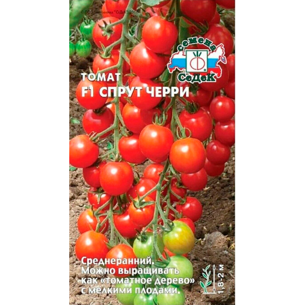 томат Спрут черри F1