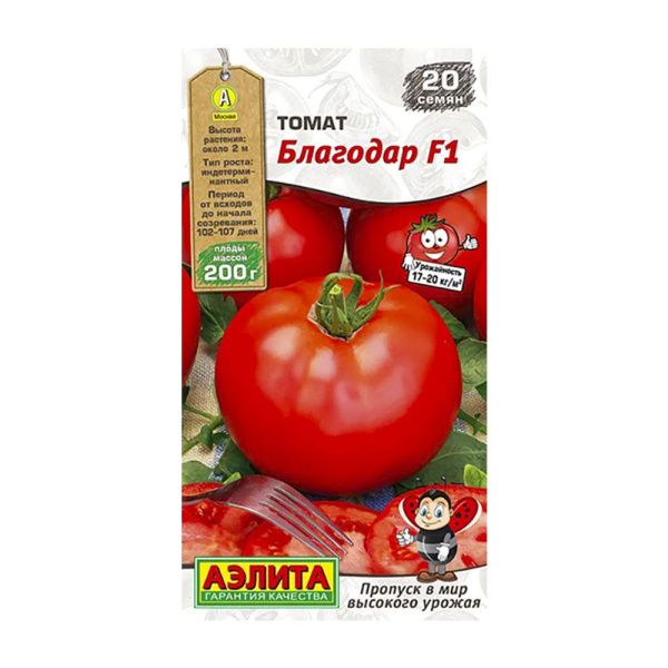 02Аэ1361 Томат Благодар F1