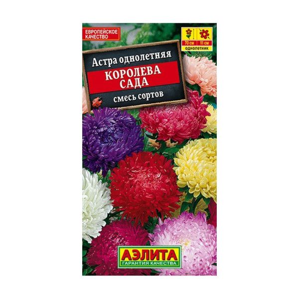 02Аэ1417 Астра Королева, смесь сортов