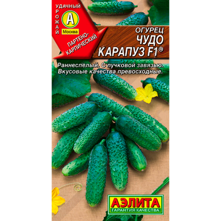 Огурец Чудо-Карапуз  F1 Аэлита