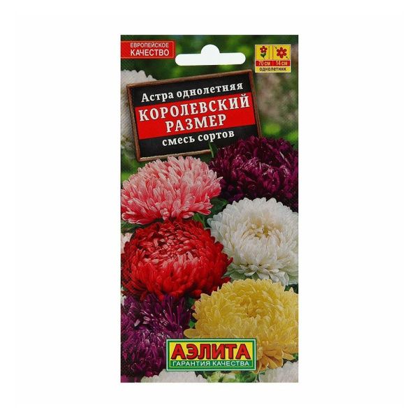 02Аэ1376 Астра Королевский размер, смесь сортов