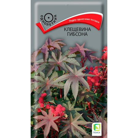 Клещевина (декоративная) Гибсона (ЦВ) (1) 2гр