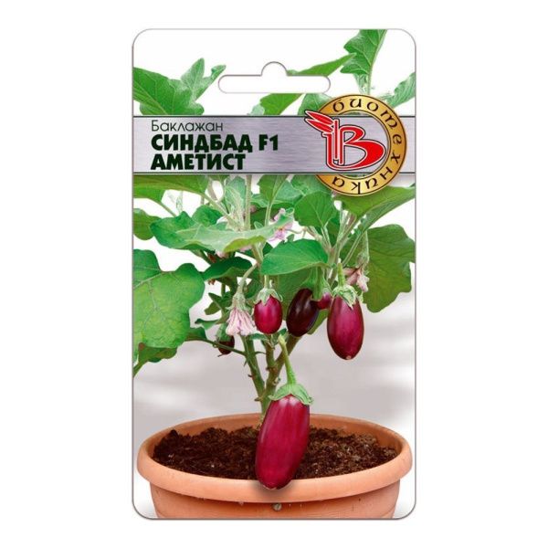 02Би2889 Баклажан Синдбад F1 NDS