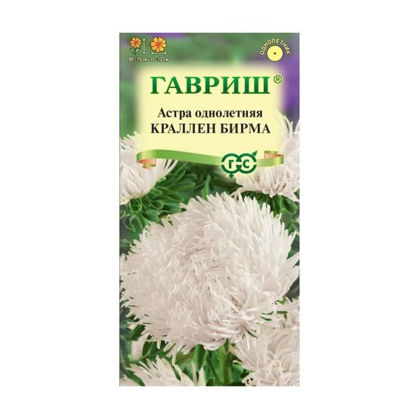 Га010067 Астра Краллен Бирма, однолетняя (коготковая кремовая) 0,3 г