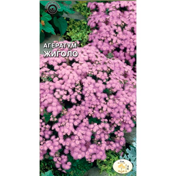 Агератум Жиголо ( мексиканский, розовый ) Агератум Жиголо ( мексиканский, розовый )