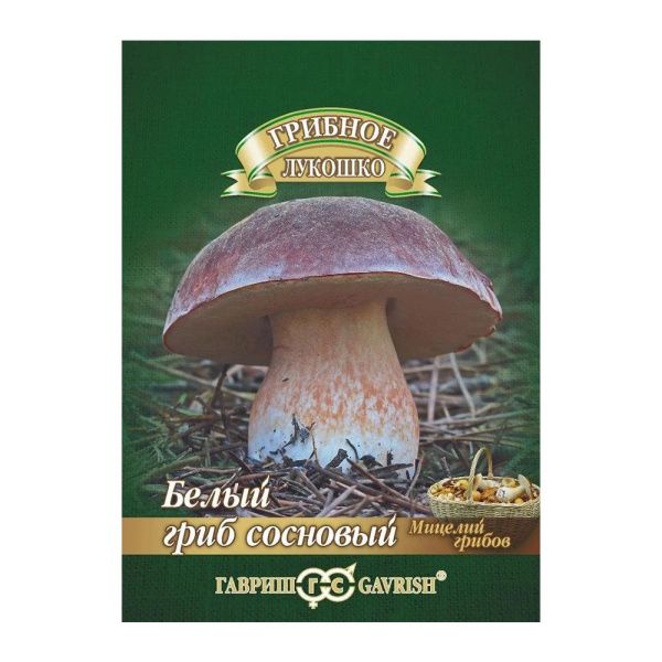 Га014228 Белый гриб Сосновый на зерновом субстрате, больш. пак. 15 мл