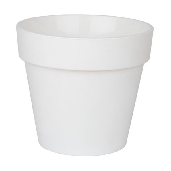 ПР17-10  Протея 2.3л Бело-белый пласт.горш. d17 h15,5  с вкладкой 12шт-коробка