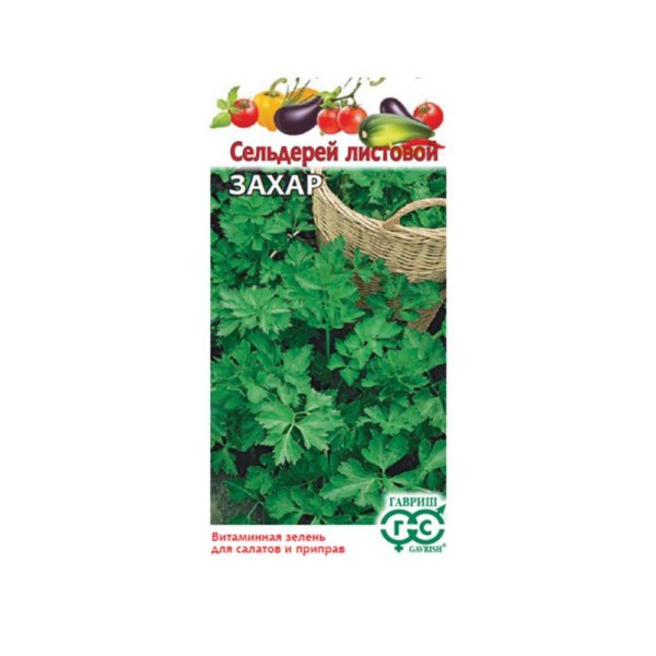 Сельдерей листовой Захар