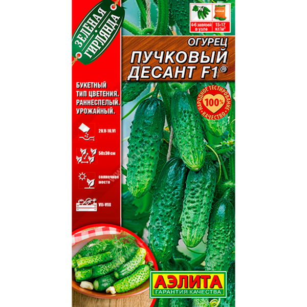 Огурец пучковый Десант F1  Аэлита