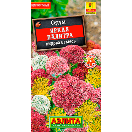 Седум Яркая палитра смесь сортов