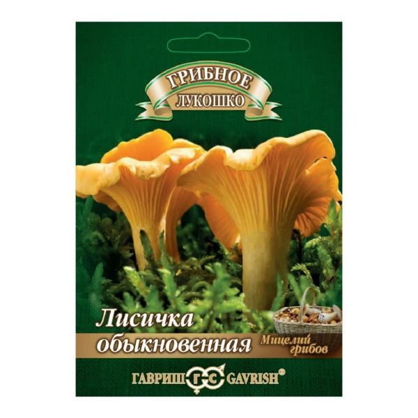 Га014237 Лисички на зерновом субстрате, больш. пак. 15 мл