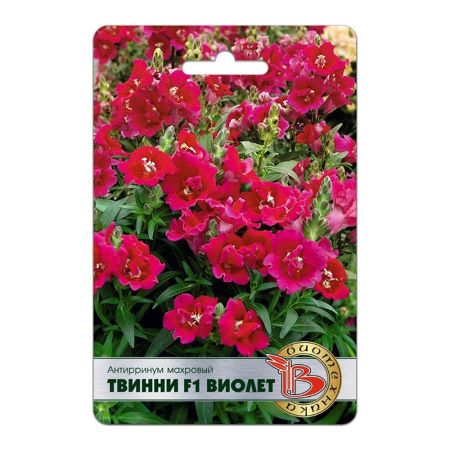 02Би3183 Антирринум махровый Твинни F1 Виолет NDS