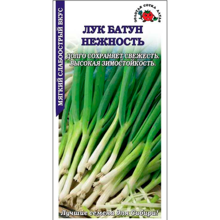 Лук Батун Нежность