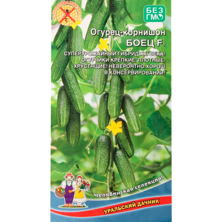 Огурец Боец - корнишон F1